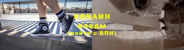 амф Дмитров