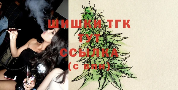 амф Дмитров