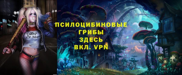 СК Дмитриев