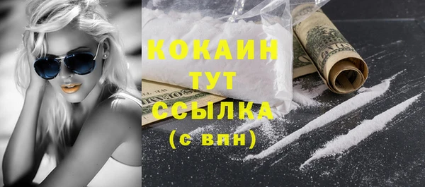 амф Дмитров