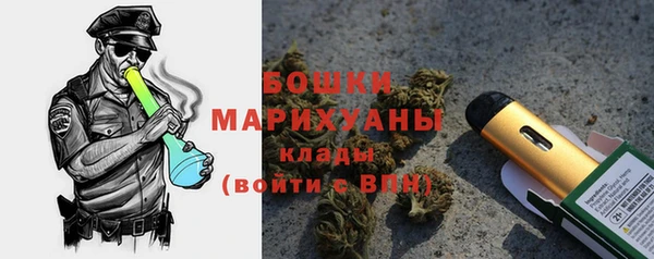 амф Дмитров